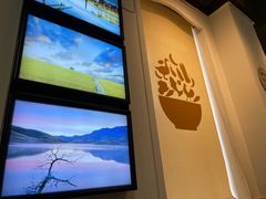 -大碗厨(东风路店)