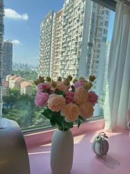 -哈颜科技轻美·