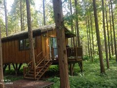 -黄海国家森林公园