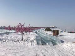 -呼兰河口湿地公园