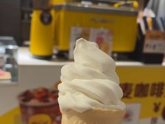 -麦当劳(塔园路店)
