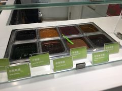 -Salud撒露欧洲冻酸奶(北苑上品店)