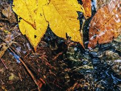 -云岫谷游猎自然风景区