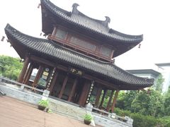 -运河游船(武林门码头)