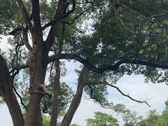 -良渚古城遗址公园