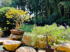 -龙吟九品(青龙山庄店)