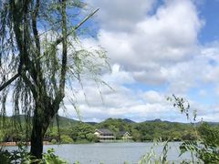 -苏堤停车场