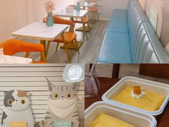 -Tomado绿色烘焙(大尧三路店)