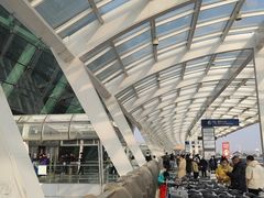 -合肥新桥国际机场-航站楼