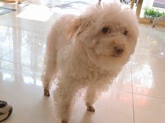 -仁华宠物医院(青羊店)