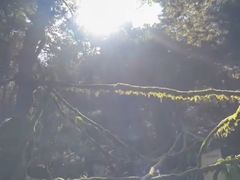 -山叶口景区