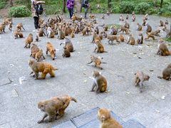 景点-黔灵山公园