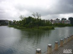 -新江湾城公园