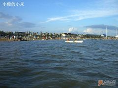 -碧海金沙