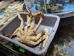 -綱元·海鲜豆捞(明州里店)