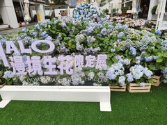 -HALO广场(梨园路店)