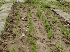 -锦绣博文幼儿园