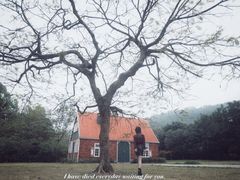 -南沙蒲洲花园