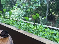 -Warung Babi Guling Ibu Oka 3