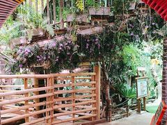 -正佳雨林生态植物园