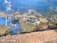 -新荣记(西溪湿地店)