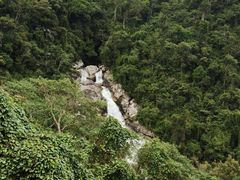-海南热带雨林国家公园吊罗山景区