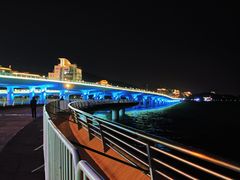 -演武大桥观景平台