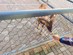 -长白岛森林公园