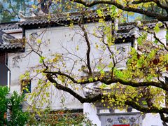 -塔川景区