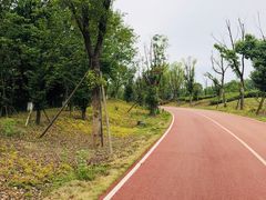 -白鹭湾湿地公园