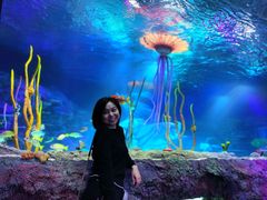 -沈阳海洋探索中心