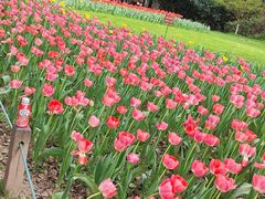 -儒之堂足道·SPA·推拿(莫干山路店)