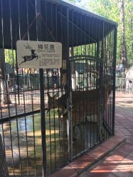 -蓝可可亲子乐园(北苑店)