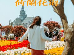 -荷兰花海