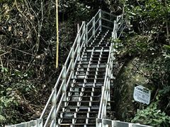 -霸王岭国家森林公园