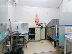 -瑞派动物医院·猫专科·至诚(江南中分院)