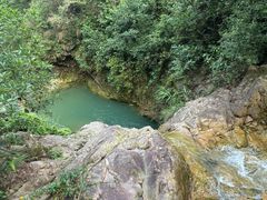 -南海湾森林生态园