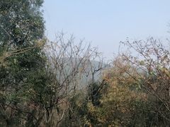 -缥缈峰景区
