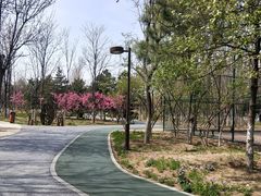 -回龙观体育文化公园