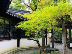 -苏州丝绸博物馆