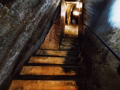 -圣母百花大教堂穹顶