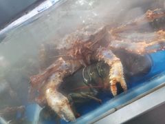 -盒马鲜生(莱蒙都会店)
