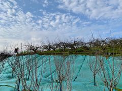 -翠屏湖景区