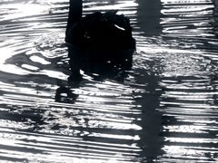 -浙江农林大学(东湖校区)