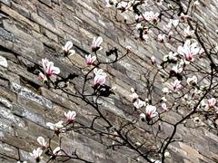 -东华门大街小区