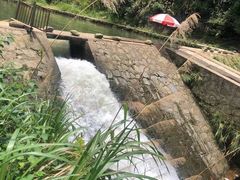 -平江沱龙峡漂流