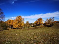 -塞罕坝国家级自然保护区