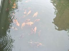 -杭州电子科技大学(下沙校区)