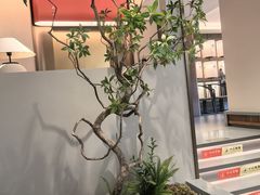 -高玛纳驴肉火烧(一世界店)