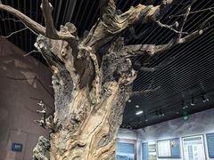 -河东池盐文化博览园